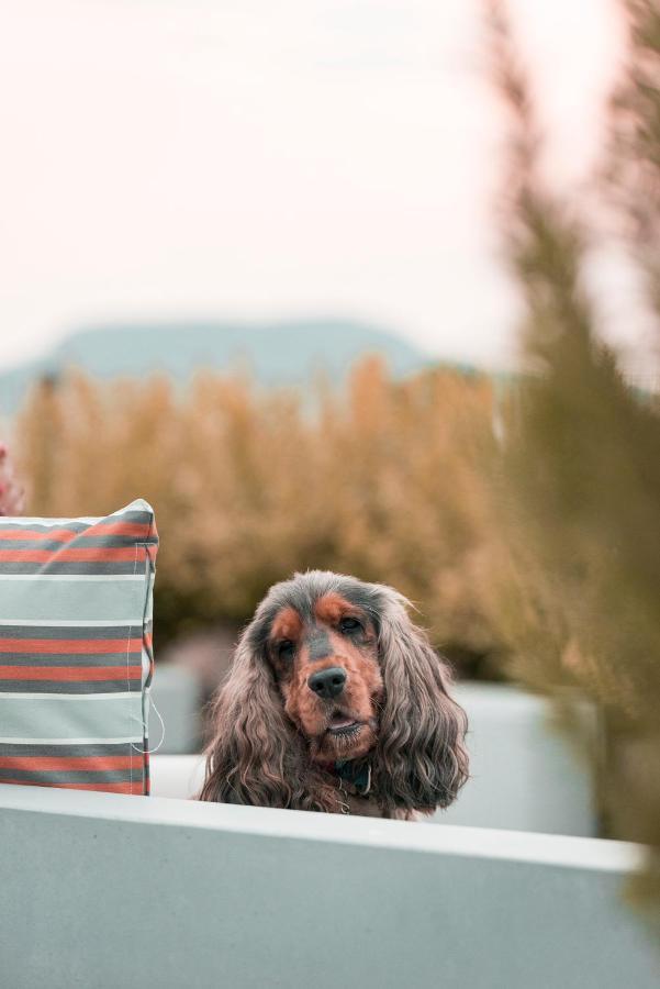 Sunset Resort - Lakeside Boutique Apartments Fonyód エクステリア 写真